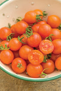 Tomato Sungold Supersweet